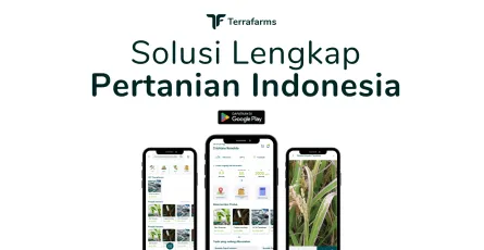 Revolusi Pertanian dengan Solusi Inovatif Terrafarms