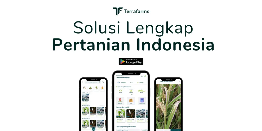 Revolusi Pertanian dengan Solusi Inovatif Terrafarms