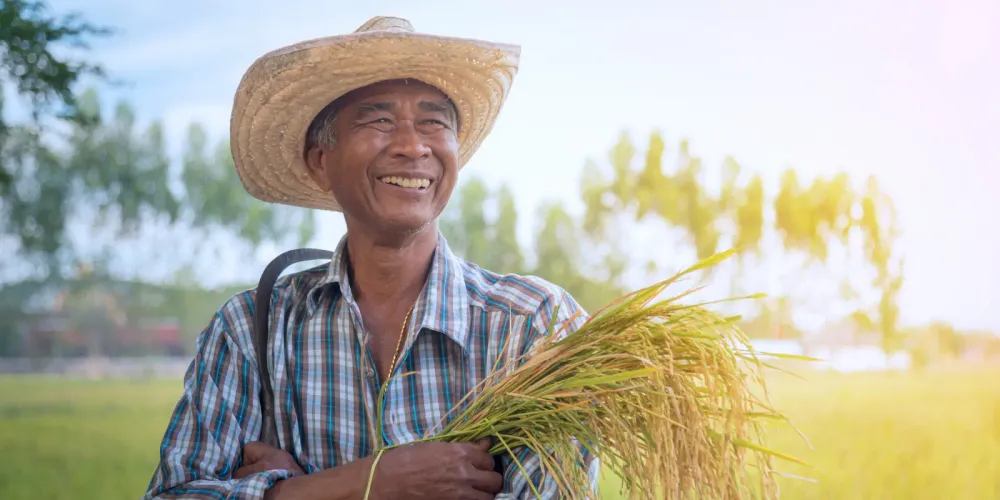 Pertanian di Indonesia: Menapak ke Ladang Yang Melimpah