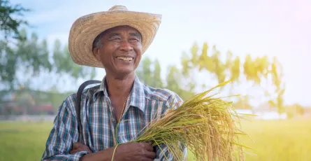 Pertanian di Indonesia: Menapak ke Ladang Yang Melimpah